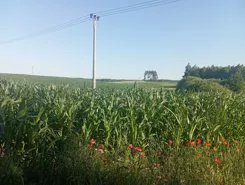 837010 - zdjęcie nr 1