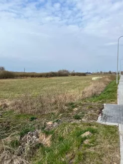 836415 - zdjęcie nr 2