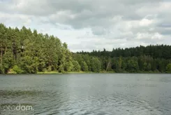 832831 - zdjęcie nr 1