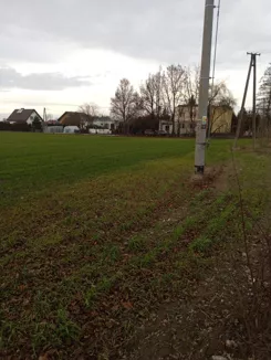 831097 - zdjęcie nr 2