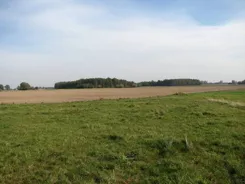 835298 - zdjęcie nr 1