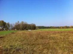 835298 - zdjęcie nr 2