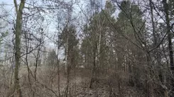 833008 - zdjęcie nr 1