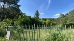 837556 - zdjęcie nr 1