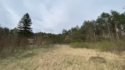 837556 - zdjęcie nr 3