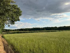 827763 - zdjęcie nr 3