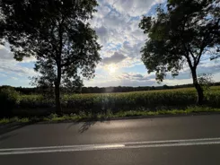 827763 - zdjęcie nr 4