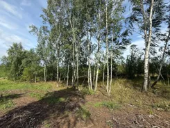 833435 - zdjęcie nr 0