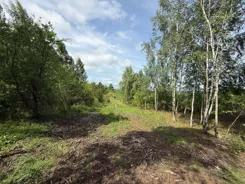 833435 - zdjęcie nr 4