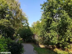 837744 - zdjęcie nr 2