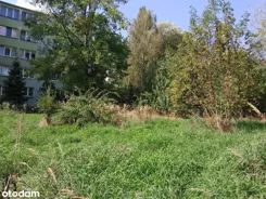 837744 - zdjęcie nr 3