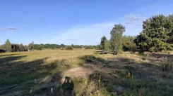 837497 - zdjęcie nr 0