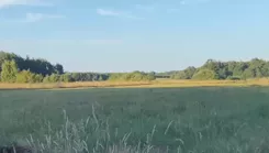 837497 - zdjęcie nr 1