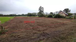 833248 - zdjęcie nr 1