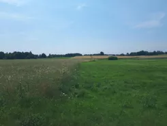 832613 - zdjęcie nr 2