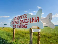 837852 - zdjęcie nr 3