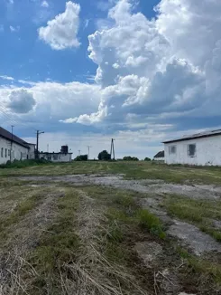 837325 - zdjęcie nr 3