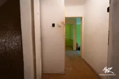 837534 - zdjęcie nr 3