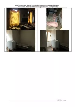 836563 - zdjęcie nr 2