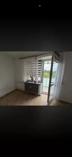 838120 - zdjęcie nr 2