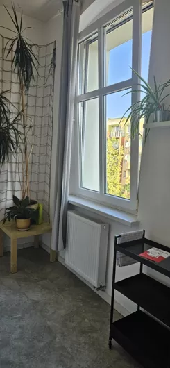 837277 - zdjęcie nr 4