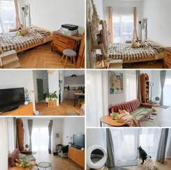 837227 - zdjęcie nr 0