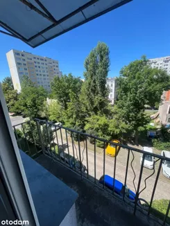 837077 - zdjęcie nr 2