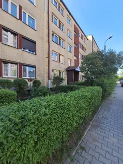836490 - zdjęcie nr 2