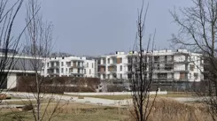 836392 - zdjęcie nr 1