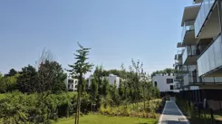 836752 - zdjęcie nr 3