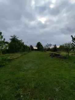836287 - zdjęcie nr 2