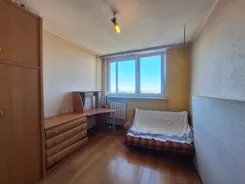 837214 - zdjęcie nr 0