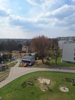 837776 - zdjęcie nr 2