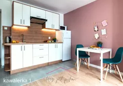 837205 - zdjęcie nr 2