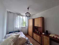 837215 - zdjęcie nr 2