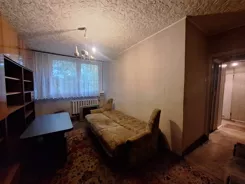 837913 - zdjęcie nr 2