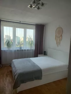 837539 - zdjęcie nr 0