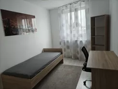 837331 - zdjęcie nr 4