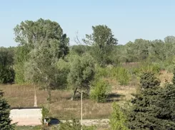836447 - zdjęcie nr 2