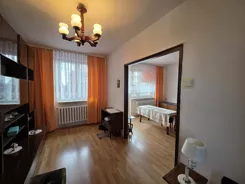 837330 - zdjęcie nr 2