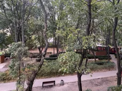838067 - zdjęcie nr 2