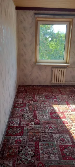 838004 - zdjęcie nr 3