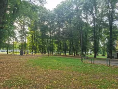 837288 - zdjęcie nr 4
