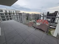 837333 - zdjęcie nr 3