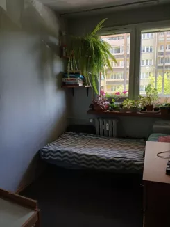 835223 - zdjęcie nr 0