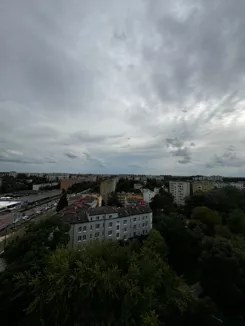 837544 - zdjęcie nr 0