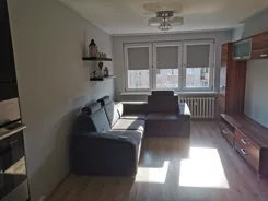 836878 - zdjęcie nr 2