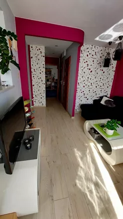 838084 - zdjęcie nr 2