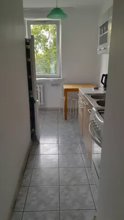 837800 - zdjęcie nr 2