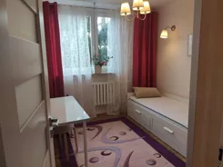 826669 - zdjęcie nr 2